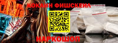 крисы Камышлов