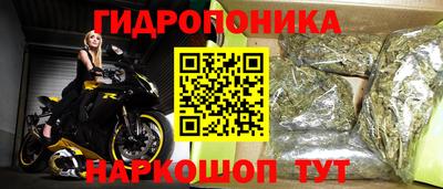 крисы Камышлов