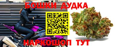 крисы Камышлов