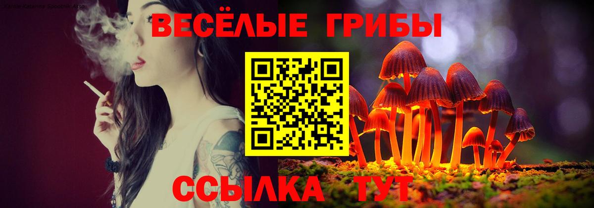 купить  цена  Псилоцибиновые грибы GOLDEN TEACHER  Шадринск  Вход с VPN  Псилоцибиновые грибы мухоморы 