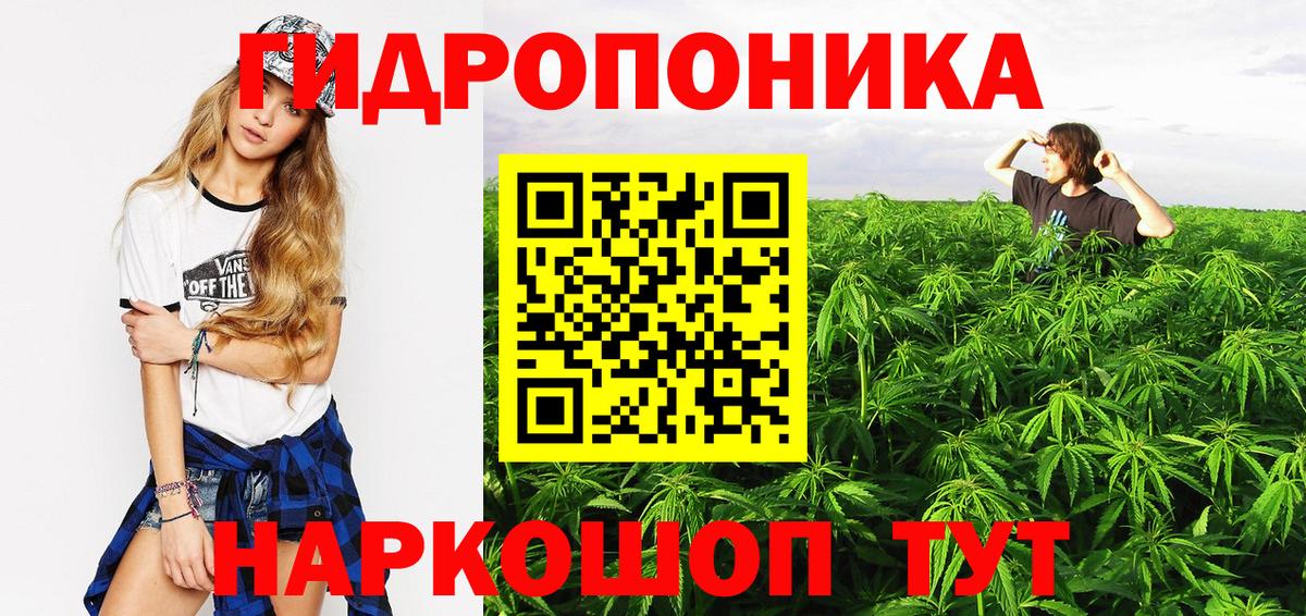 Канабис White Widow Шадринск